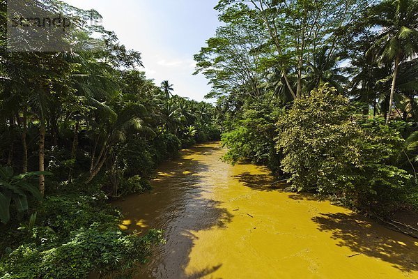 Reise  grün  Boot  Südostasien  Asien  Schlucht  Indonesien  Java