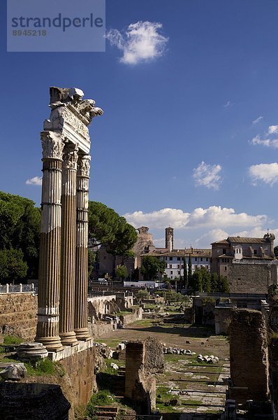 Rom  Hauptstadt  Europa  UNESCO-Welterbe  Forum Romanum  Latium  Italien