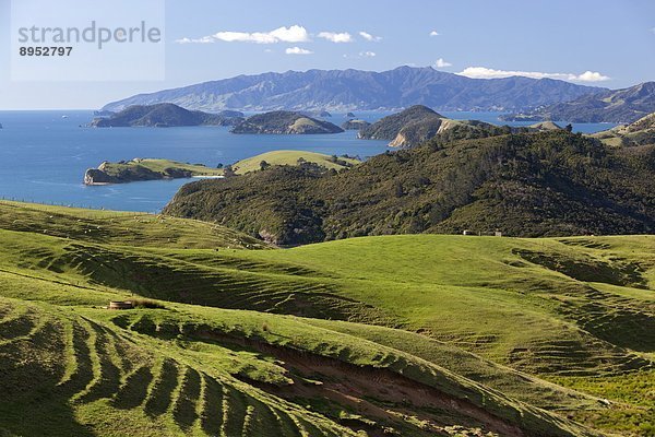 sehen  Küste  Pazifischer Ozean  Pazifik  Stiller Ozean  Großer Ozean  neuseeländische Nordinsel  Coromandel  Neuseeland  Norden