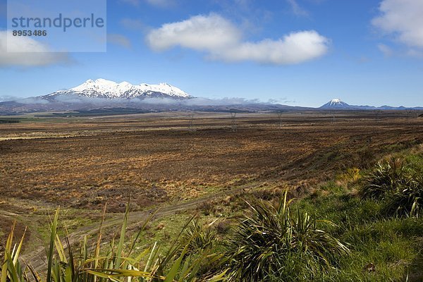 sehen  Fernverkehrsstraße  Wüste  Bundesstraße  Pazifischer Ozean  Pazifik  Stiller Ozean  Großer Ozean  Berg  UNESCO-Welterbe  neuseeländische Nordinsel  Tongariro Nationalpark  1  Neuseeland