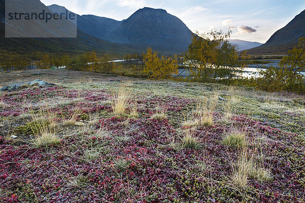 Nationalpark Sarek  Schweden  Europa