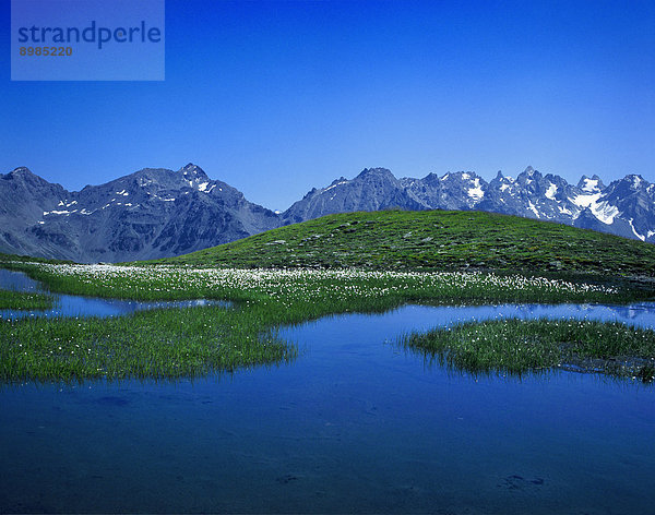 Bergsee in der Silvretta  Vorarlberg  Österreich