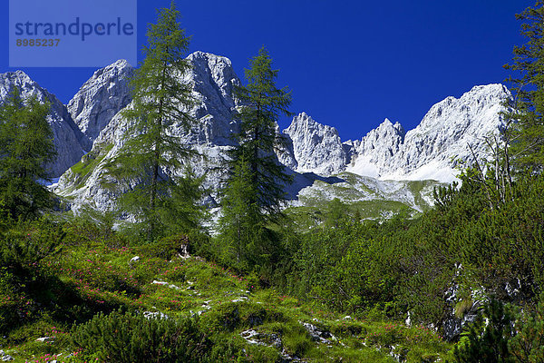 Mieminger Gebirge  Tirol  Österreich