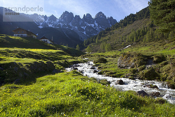 Grinzens  Kalkkögel  Kemater Alm  Tirol  Österreich