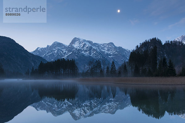 Mondlicht über Almsee  Almtal  Oberösterreich  Österreich