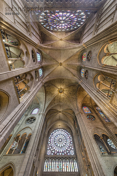 Notre Dame  Paris  Frankreich  Europa