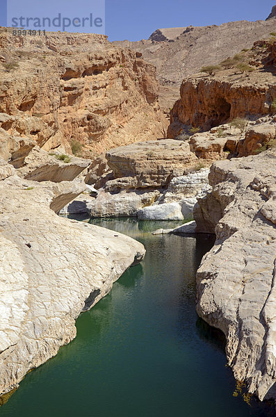Teich mit grünem Wasser  umgeben von Wüstenfelsen  Wadi Bani Khalid  Muqal  Ash Sharqiyah  Oman
