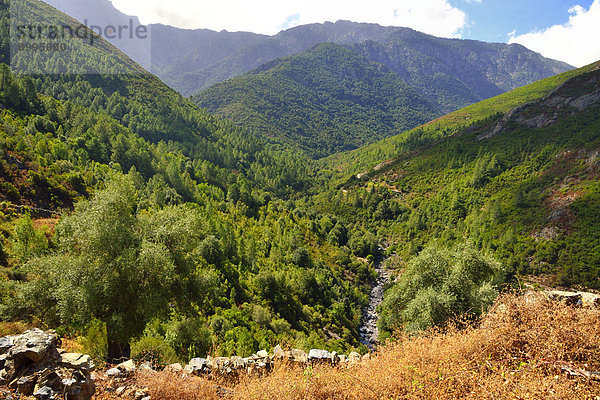 Berglandschaft am Oberlauf des Fango-Baches  Fangotal  Korsika  Frankreich