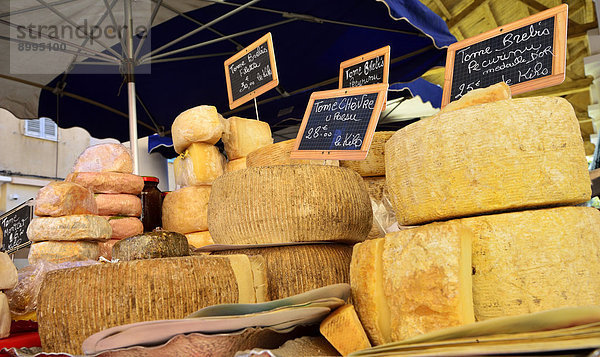 Verschiedene Käse an einem Marktstand  L'Île Rousse  Balagne  Korsika  Frankreich