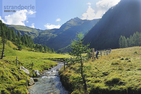 Bergbach in den Alpen  Seebachtal  Österreich