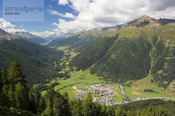 Zernez  Ausblick vom Munt Baselgia  Schweizer Nationalpark  Graubünden  Schweiz