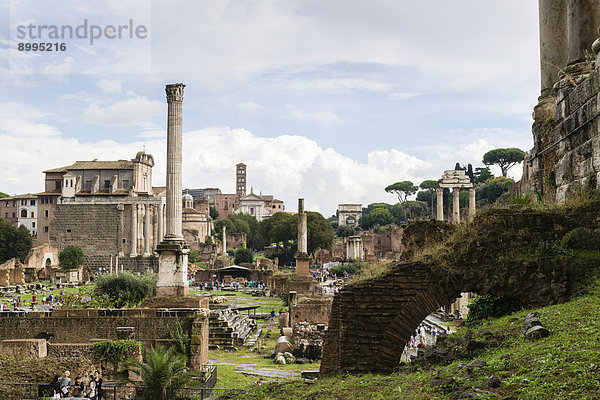 Forum Romanum  Rom  Latium  Italien