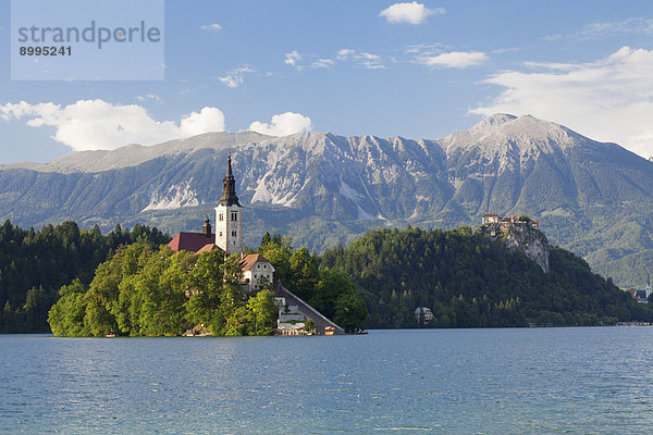 Bleder Insel mit Marienkirche  Bleder See  Bled  Slowenien