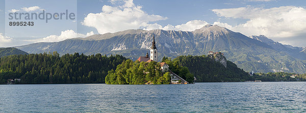 Bleder Insel mit Marienkirche  Bleder See  Bled  Slowenien