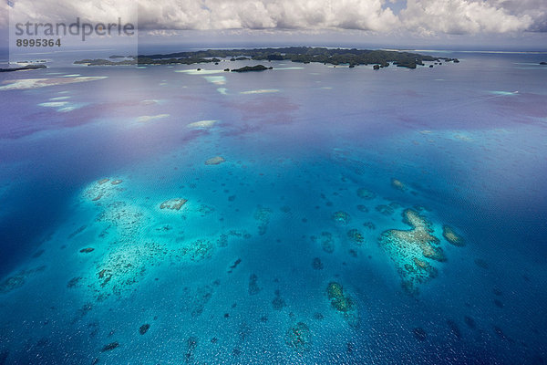 Korallenriff  Luftaufnahme  Pazifik  Palau