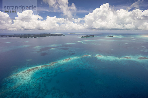 Korallenriff  Luftaufnahme  Pazifik  Palau