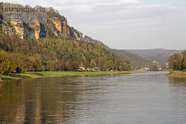 Die Elbe im Elbsandsteingebirge  Sachsen  Deutschland