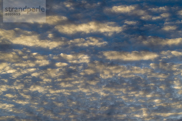 Altocumulus-Wolken am Abend  Andalusien  Spanien