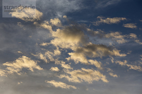 Altocumulus-Wolken vor hohen Cirrostratus-Wolken  Schleierwolken  am Abend  Andalusien  Spanien