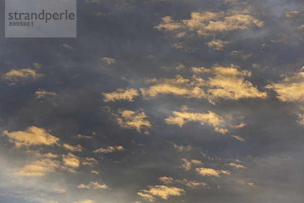 Altocumulus-Wolken bei Sonnenuntergang vor hohen Cirrostratus-Wolken  Schleierwolken  Andalusien  Spanien