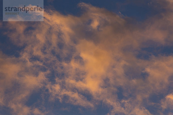 Altocumulus-Wolken bei Sonnenuntergang  Andalusien  Spanien