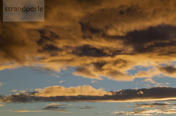 Stratocumulus-Wolken  bei Sonnenuntergang  Andalusien  Spanien