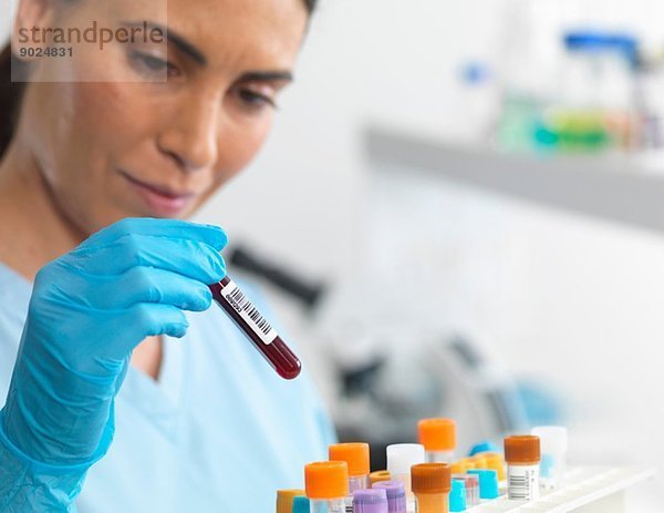 Wissenschaftler besichtigen verschiedene menschliche Proben für Tests im Labor