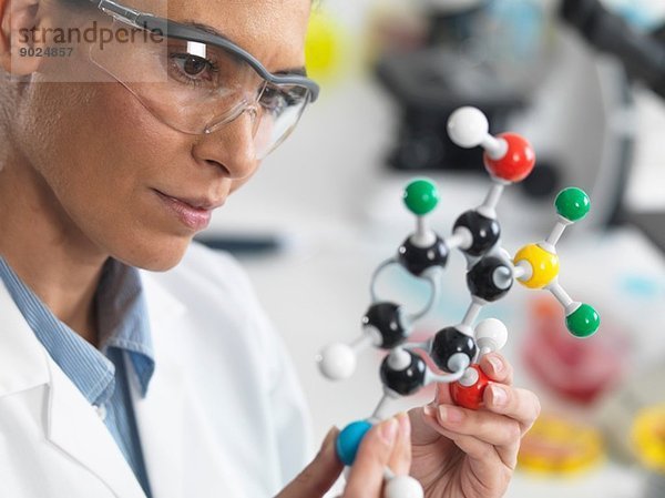Wissenschaftler beim Betrachten einer Molekülstruktur im Labor