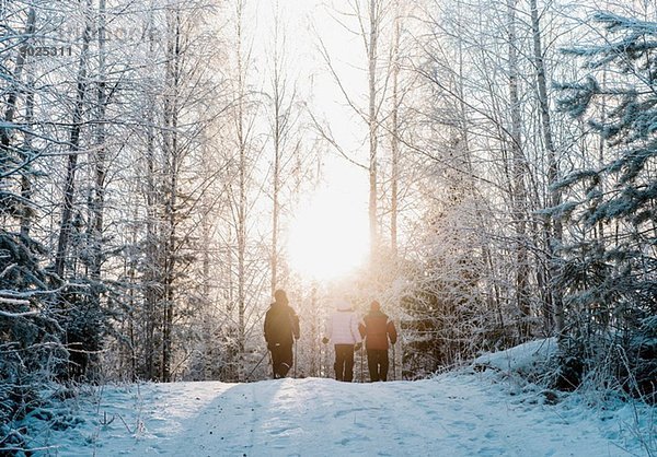 Drei Personen Nordic Walking im verschneiten Wald