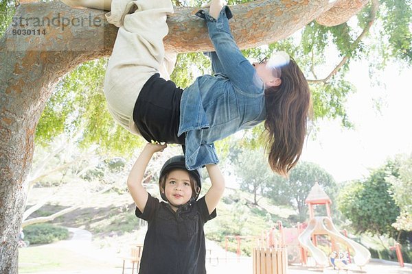 Upside down Mutter um den Ast gewickelt mit Sohn helfen