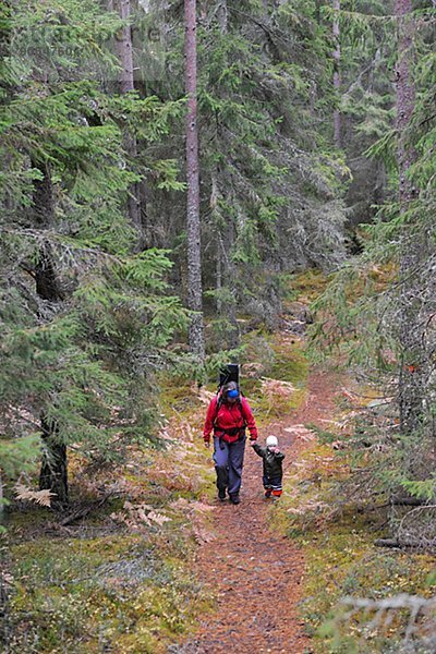 gehen  Wald  Nationalpark Tiveden  Mutter - Mensch  Schweden