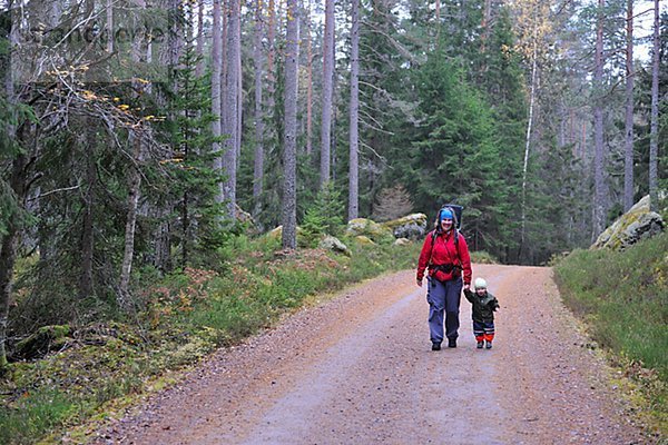 gehen  Wald  Nationalpark Tiveden  Mutter - Mensch  Schweden