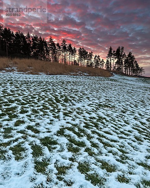 Morgen  Västergötland  Golfsport  Golf  Mölndal  Kurs  Schnee  Schweden