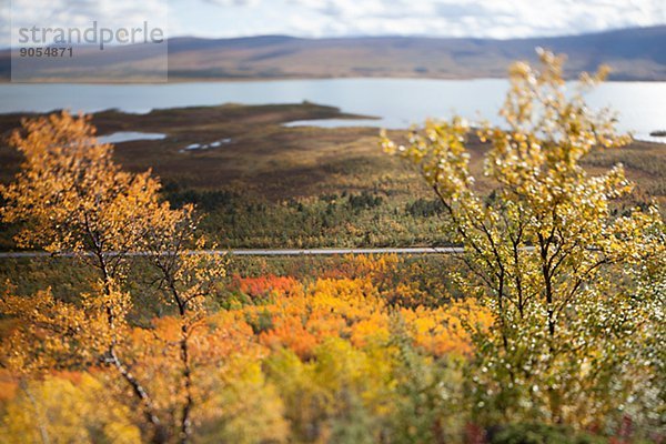 Kiruna  Lappland  Norrbotten  Herbstlandschaft  Schweden