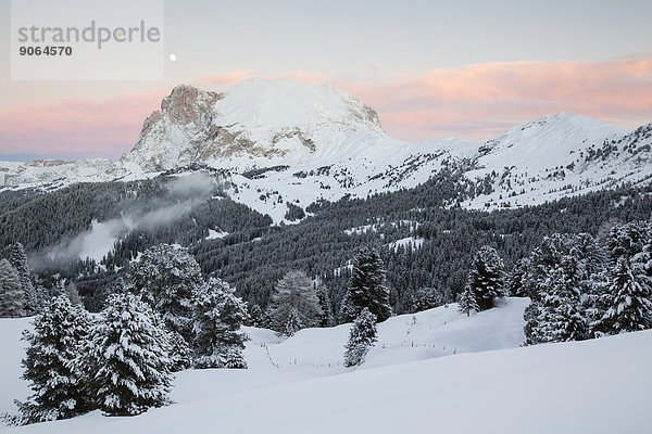 Plattkofel im Winter  Seiseralm  Südtirol  Italien