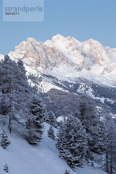 Geislerspitzen im Winter  Seiseralm  Südtirol  Italien