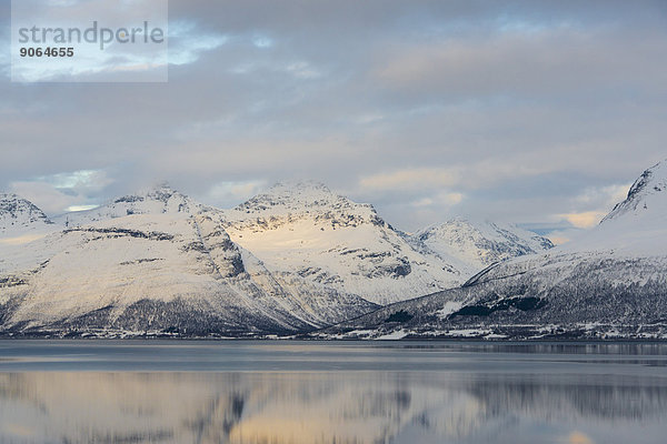 Fjord im Winter  Balsfjord  Nordnorwegen  Norwegen