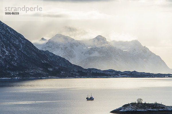 Fjord im Winter  Austnesfjord  Vagan  Lofoten  Norwegen