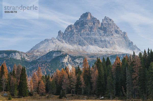 Drei Zinnen oder Tre Cime di Lavaredo  Naturpark Drei Zinnen  Dolomiten  Südtirol  Italien