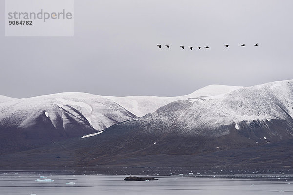 Am Monacobreen  Liefdefjorden  Insel Spitzbergen  Inselgruppe Spitzbergen  Svalbard und Jan Mayen  Norwegen