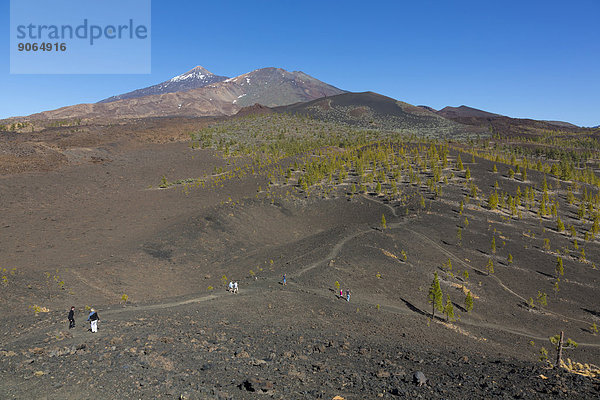 Aussicht vom Vulkan-Krater Samara  auf den Vulkan Pico del Teide  3718 m  Vulkan Pico del Viejo  3134 m  und den Vulkan Volcán de la Botija  2122 m  UNESCO Weltnaturerbe Teide-Nationalpark  Teneriffa  Kanarische Inseln  Spanien