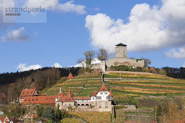 Burg Hohenbeilstein im Herbst  Beilstein  Baden-Württemberg  Deutschland