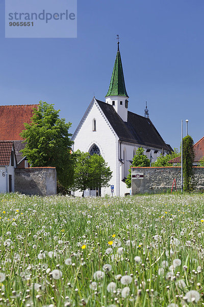 Kloster Heiligkreuztal  bei Riedlingen  Oberschwaben  Baden-Württemberg  Deutschland