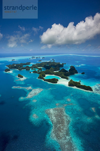 Rock Islands Inseln  Palau  Mikronesien