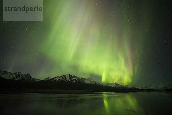 Polarlicht  Aurora borealis  Chugach Mountains  Knik River Valley  Alaska  USA