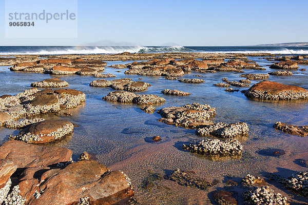 Küstelinie mit Riff  Kalbarri  Western Australia  Australien