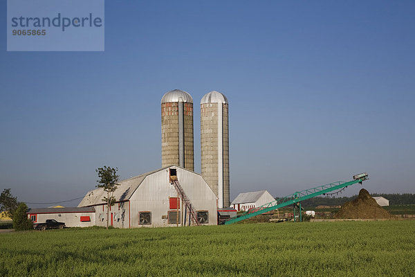 Gebäude eines Milchbetriebs mit zwei Getreidesilos  Saint-Jean  Ile d'Orleans  Québec  Kanada