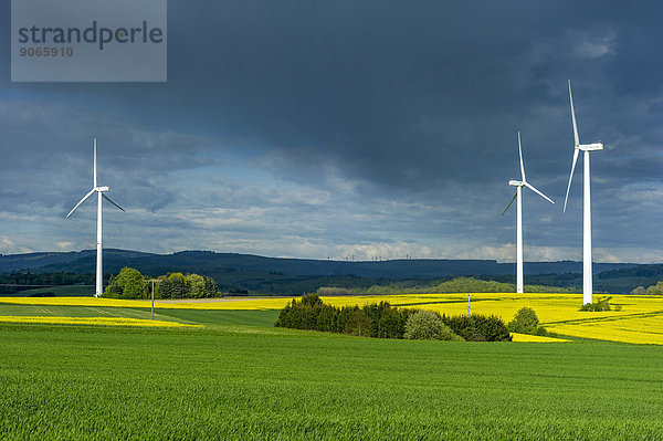 Windturbine Windrad Windräder Wolke Dunkelheit Sturm frontal blühen Feld Raps Brassica napus voll Deutschland Hessen