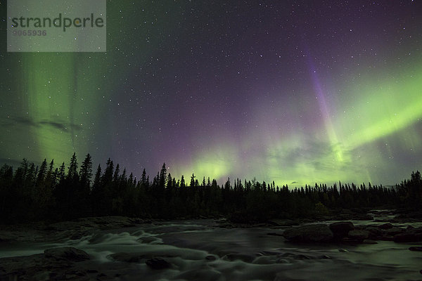Nordlicht oder Aurora borealis über Fluss  Kvikkjokk  Lappland  Schweden