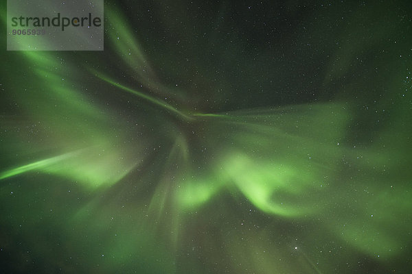 Nordlicht oder Aurora borealis  Korona  Lofoten  Norwegen